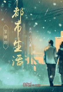 至尊都市全集