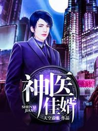 神医佳婿笔趣阁