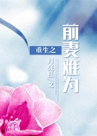 重生之前妻