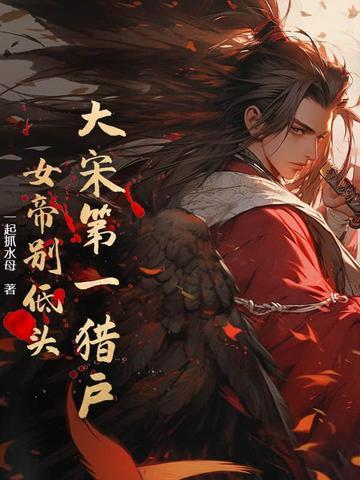 大宋第一女婿
