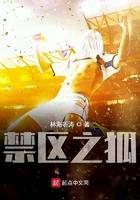 我真没想当训练家啊封面