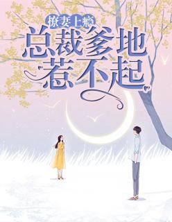总裁爹地撩不停全文免费